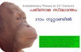 Evolutionary Theory in 21st Century