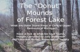 Forest Lake Circle Mounds