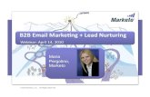 B2B Email Marketing and Lead Nurturing