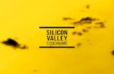 Silicon Valley Syndrome