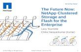 VMware PEX Boot Camp - The Future Now: NetApp Clustered Storage and Flash for the Enterprise