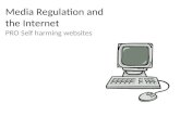 Media regulation and the internet