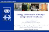 Energy Efficiency in Buildings: Europe and Central Asia
