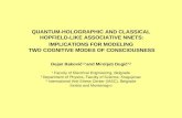 Quantum holographic and hopfield like neural nnets 1