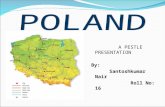 Poland pestl analysis