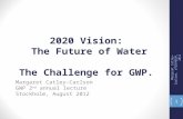 2020 Vision:The Future of Water, The challenge for GWP by Margaret  Catley-Carlson