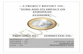 43065380 project-report-euro