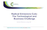 Evaluating the implications of carbon budgets on UK business