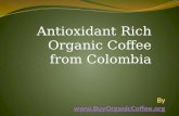 whole bean coffee, organic coffee, organic coffee antioxidants