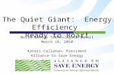 The Quiet Giant:  Energy Efficiency Ready to Roar!