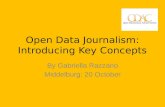 Open Data Journalism