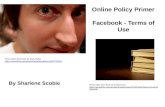 Online policy primer - Facebook
