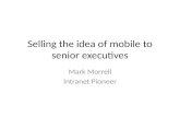 Selling the idea of mobile to senior executives
