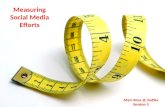 Measuring Social Media Efforts