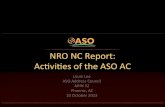 NRO Number Council report from ARIN 32