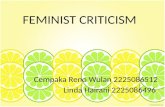 Feminist criticism final