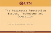 The Perimeter Protection Issues, Technique and Operation