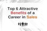 Top 6 Attractive Benefits of a Career in Sales