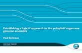 Establishing a hybrid approach to the polyploid sugarcane genome assembly - Paul Berkman