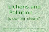 Lichens and Pollution - an Introduction