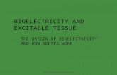Bioelectricity& Excitable Tissue