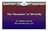 Dynamics of diversity young professionals