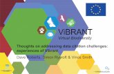 Thoughts on addressing data citation challenges: experiences of Vibrant project