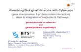 Cytoscape: Gene coexppression and PPI networks