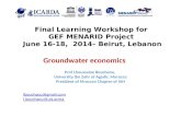 Menarid: Groundwater Economics