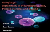 Autophagy: implications in neurodegeneration, fitness exercise and beyond