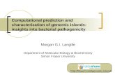 Computational prediction and characterization of genomic islands: insights into bacterial pathogenicity