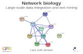 Network biology - Large-scale data integration and text mining