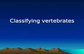 classifying vertebrates