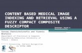 CONTENT BASED MEDICAL IMAGE INDEXING AND RETRIEVAL USING A FUZZY COMPACT COMPOSITE DESCRIPTOR