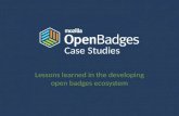 Open Badges: Lessons Learned in the Developing Ecosystem