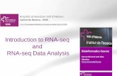 Introduction to RNA-seq and RNA-seq Data Analysis (UEB-UAT Bioinformatics Course - Session 4.1 - VHIR, Barcelona)
