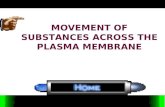 Chapter 3 movement of substances across the plasma membrane