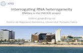 Dr. Roderic Guigó. Centre de Regulació Genòmica / Interrogating RNA heterogeneity