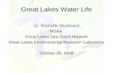 Waterlife Annotated