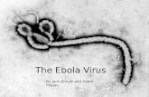 Ebola final