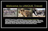 Namibia Tour Operator, Safari Holidays Namibia, Botswana
