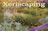 Xeriscaping: the Complete How to Guide - Albuquerque, New Mexico
