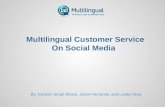 Multilingual Customer Service on Social Media