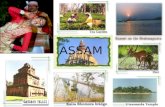 Assam Tourism Ppt