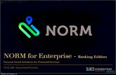 NORM for Banking Intro