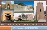 The forts and towers of al ‘ayn