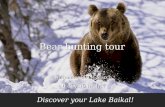Bear hunting tour