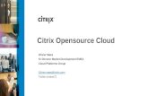 Security and flexibility in the cloud   citrix
