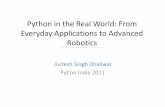 Python in the real world : from everyday applications to advanced robotics