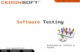 Software Testing Presentation in Cegonsoft Pvt Ltd...
